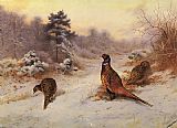 Winter's Sunset by Archibald Thorburn